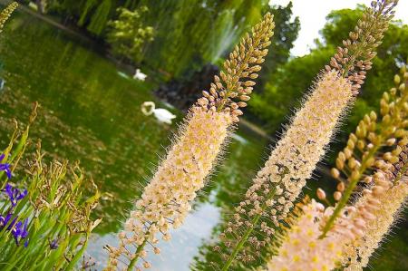 Jardin Henry Vinay (43)